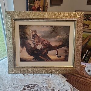 Leopard at KORA By Silvia Duran Framed Print Leopard, Trees Nature, Wildlife 60s